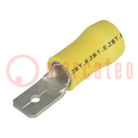 Terminal: flat; 6.3mm; 0.8mm; male; 2.5÷6mm2; crimped; for cable