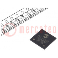 IC: microcontrollore ARM; WFBGA144; 2,97÷3,6VDC; 128kBSRAM; CEC