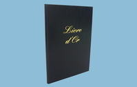 LEBON & VERNAY 540010 livre d'administration Noir 148 feuilles