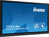 iiyama TE5512MIS-B1AG visualizzatore di messaggi Pannello piatto per segnaletica digitale 139,7 cm (55") LED Wi-Fi 400 cd/m² 4K Ultra HD Nero Touch screen Processore integrato A...
