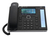 AudioCodes 445HD IP telefoon Zwart LCD Wifi