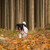 Relaxdays Hundeleine reflektierend, 150 cm, gepolsterte Schlaufe, Leine kleine & große Hunde, bis 50 kg, Nylon, rot