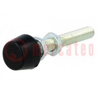 Clamping bolt; Thread: M6; Base dia: 13mm; Kind of tip: flat