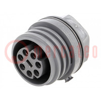 Connector: circular; socket; female; PIN: 7; EXPlora; nickel plated