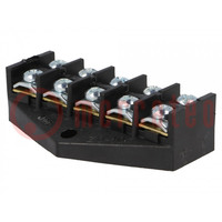 Terminal block; screw terminal; 10mm2; 400V; ways: 5; terminals: 10