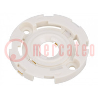 Adapter; LED LUMILEDS,LUXEON CoB 1202s