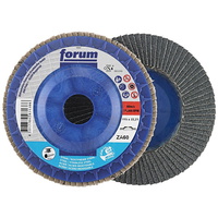 Forum Fächerschleifscheibe 115mm, gewölbt, ZK 60 trimmbar