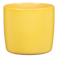 Scheurich Solido 900 Drinnen Topfpflanzer Freistehend Keramik Gelb
