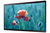 Samsung QB24R-T Interactive flat panel 60.5 cm (23.8") Wi-Fi 250 cd/m² Full HD Black Touchscreen