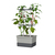 Gusta Garden Charly Chili Indoor/Outdoor Topfpflanzer Freistehend Aluminium, Polypropylen (PP) Hellgrau
