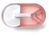 HAN Toolbox LOFT Acrilonitrilo butadieno estireno (ABS), Plástico Rosa, Blanco