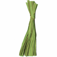 Naturbast 50g Bündel lindgrün