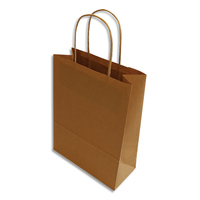 BONG Boîte 250 sacs poignées torsadées kraft naturel 100%, format 32 x 42 x 15 cm, Couleur Naturel