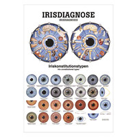 Irisdiagnose Mini-Poster Anatomie 34x24 cm medizinische Lehrmittel, Nicht Laminiert