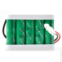 Pack(s) Batterie portes automatiques 10x AA 10S1P ST2 12V 1700mAh AMP