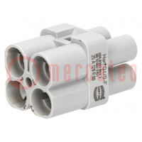 Connector: HDC; contact insert; female; Han Q; PIN: 4; size 3A; 40A