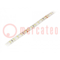 LED tape; white cold; 3528; 12V; LED/m: 96; 8mm; white PCB; 120°