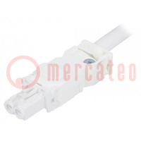 Power cable; cascade connection; 025; female; white; 2m; 2x1.5mm2