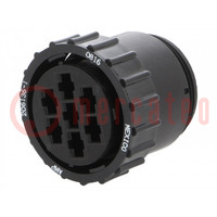 CPC PLUG ASSEMBLY SIZE 23-7