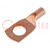 Tip: ring tube; M10; 10mm2; crimped; for cable; L: 25.5mm; copper