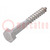 Screw; for wood; 10x80; Head: hexagonal; none; 17mm; DIN 571; BN 704