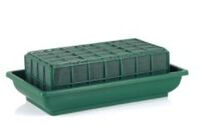 Magic Casket Tray (inc. Single Floral Foam Brick) - 29 × 16 × 10cm H, Green