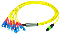 Telegärtner 100011111 Glasvezel kabel 10 m 12x LC PC OS2 Blauw, Geel
