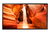 Samsung OM55N-S Digitale signage flatscreen 139,7 cm (55") LCD Wifi 4000 cd/m² Full HD Zwart Type processor Tizen 5.0