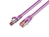 Wirewin S/FTP CAT6 0.75m Netzwerkkabel Pink 0,75 m