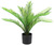 Palme Miki; 54 cm (H); grün/schwarz