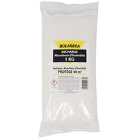 BOLASECA RECHARGE ABSORBEUR HUMIDITE SACH.1KG 1160284