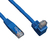 Tripp Lite N204-005-BL-DN Down-Angle Cat6 Gigabit Molded UTP Ethernet Cable (RJ45 Right-Angle Down M to RJ45 M), Blue, 5 ft. (1.52 m)