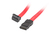 Lanberg CA-SASA-12CU-0050-R kabel SATA 0,5 m SATA 7-pin Czerwony