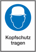 Kombischild - Kopfschutz benutzen, Kopfschutz tragen, Blau, 37.1 x 26.2 cm