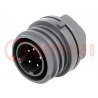 Connector: circular; socket; male; PIN: 5; EXPlora; Contacts: brass