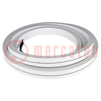 NEON LED tape; RGBW; 12V; 10mm; IP65; 15W/m; Thk: 20mm; bendable
