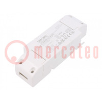 Power supply: switched-mode; LED; 30W; 27÷54VDC; 500mA; 198÷264VAC