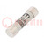 Fuse: fuse; gG; 10A; 400VAC; cylindrical,industrial; 8x31mm
