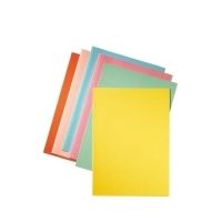 Esselte Cardboard Folder Blue 80 g/m2 Blauw A4