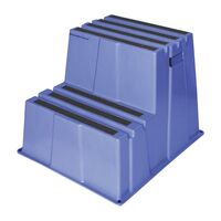 Plastic step with non-slip step surface