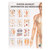 Akupunktur des Menschen Mini-Poster Booklet Anatomie 34x24 cm, 12 Poster