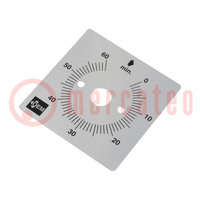 Scale for mechanical timer; MI2R