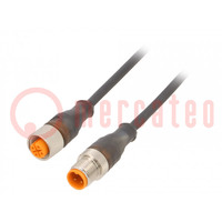 Connection lead; PIN: 4; 0.6m; plug; 230VAC; 4A; RST; -25÷80°C; IP67