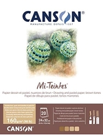 CANSON PAPIER MI-TEINTES (NID-D'ABEILLES) - BLOC 20 FEUILLES 24X32 160G/M² NUANCES DE MARRON C31032P001