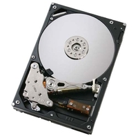 DELL 400-14599 Interne Festplatte 3.5 Zoll 1000 GB Serial ATA II