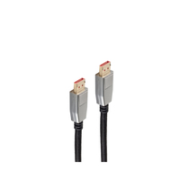 shiverpeaks BS20-20025 DisplayPort kabel 1 m Zwart