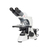 Microscopio biológico MOTIC BA-410E, trinocular, cable EU