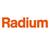 13195X Halogeen IR 235V 1000W Metal Strap Radium ITT 1000W 235V-01X0 Helder