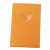 Visitenkartenbox Cognito für ca. 20 Karten transluzent orange