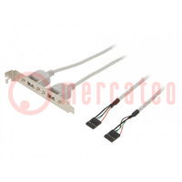 Adapter; brackets on slot; USB A socket x2,5pin pin header x2